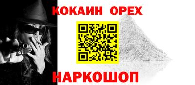 дурь Кингисепп
